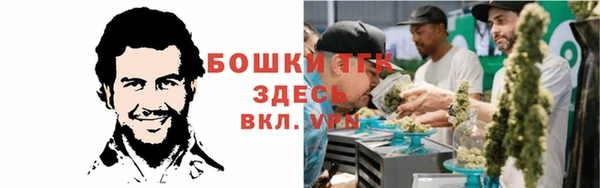 шишки Богородицк